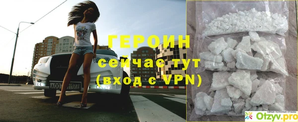 винт Лагань