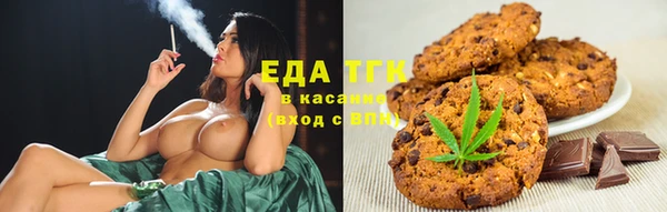индика Лабытнанги