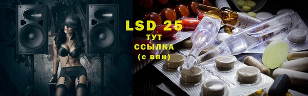 винт Лагань