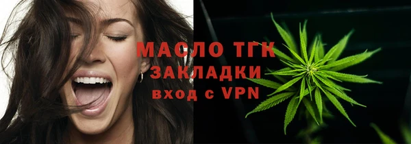 индика Лабытнанги