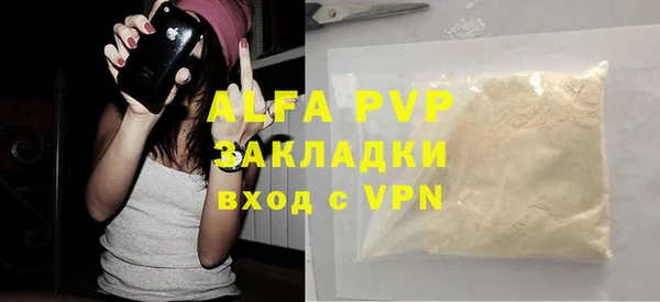 индика Лабытнанги