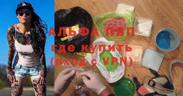 винт Лагань