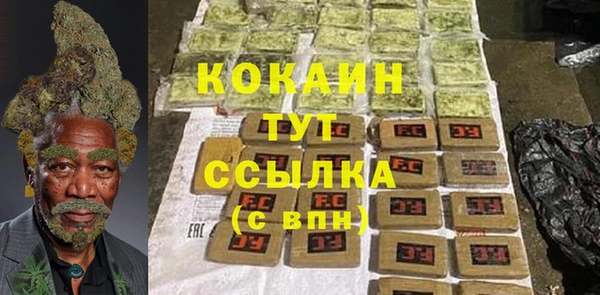 винт Лагань