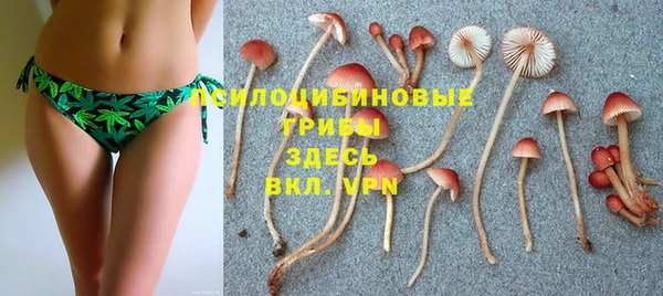 винт Лагань