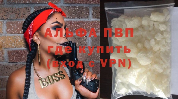 индика Лабытнанги
