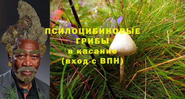 индика Лабытнанги