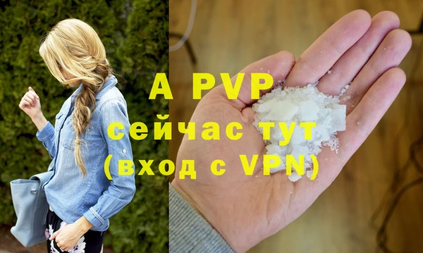 винт Лагань