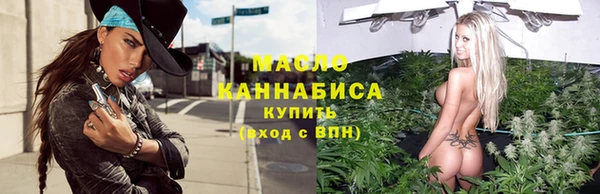 винт Лагань