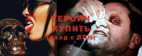 индика Лабытнанги