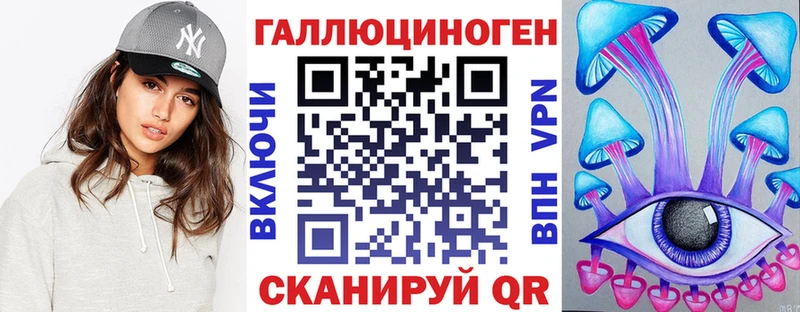закладки  Медвежьегорск  нарко площадка клад  Псилоцибиновые грибы мицелий 